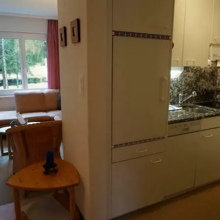 Apartment Paradies 001 *