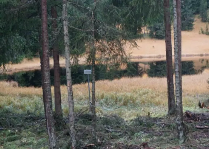 Paradies 001 * Arosa